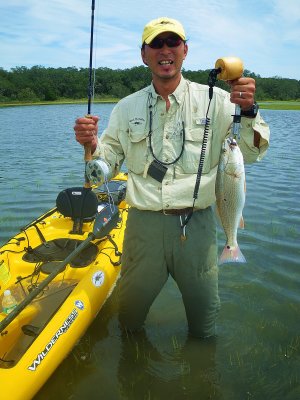 Taishi's 1st Grass Red in 2008