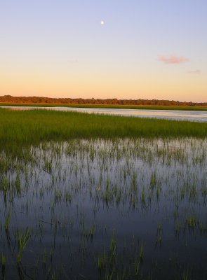 The Full Moon Spring Tide