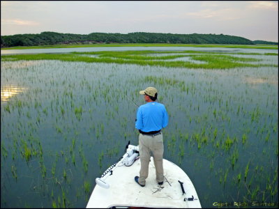 Scouting the Grass Flats