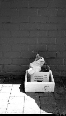 Untitled-26.jpg