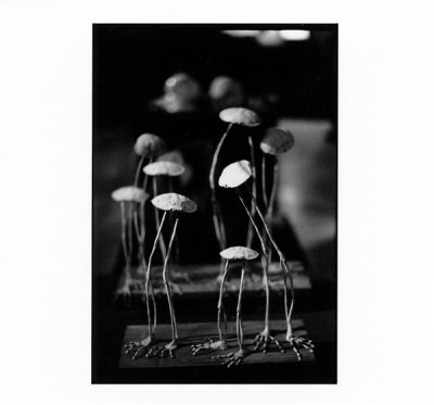 Untitled-29.jpg