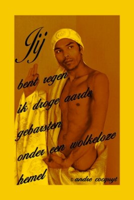 Andre Cocquyt