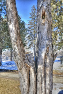 cemetary 023_tonemapped.jpg