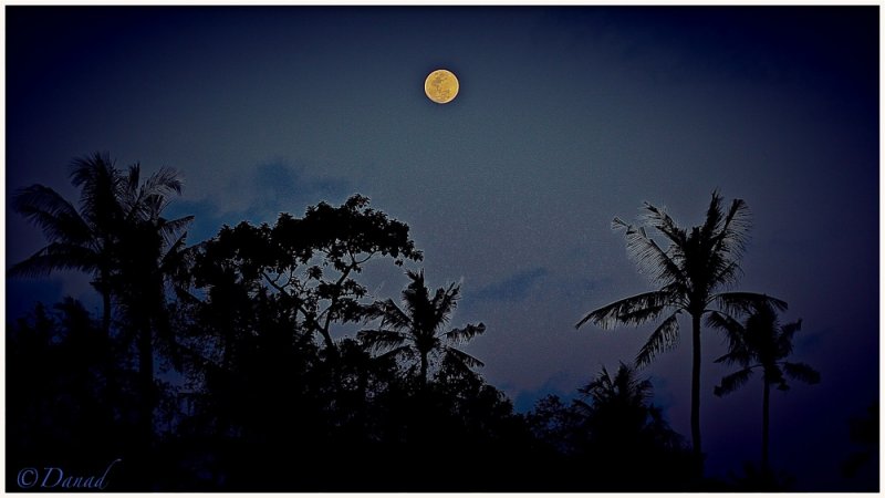 BALI : Les heures sereines. (Bali II).