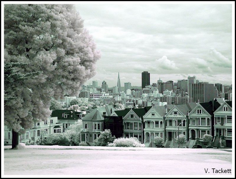 San Francisco #1