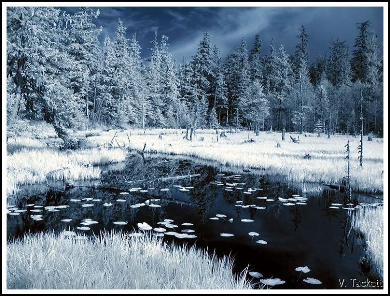 Alaska #13