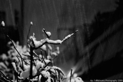 Snowing In Athens - Feb 2008