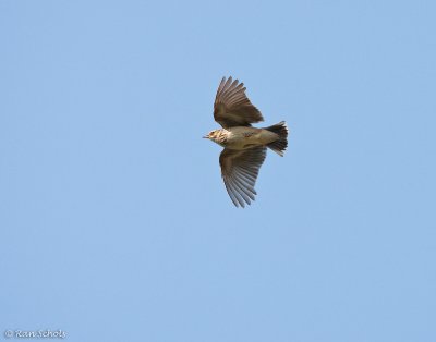 g1/74/231774/3/111631930.hhO17HP7.jpg