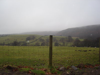 Bristish Countryside (with mist and rain).JPG