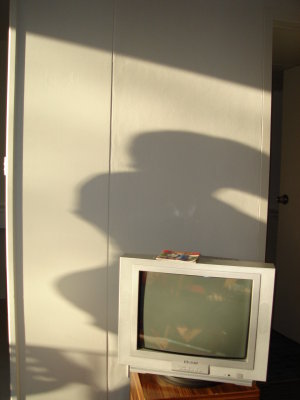 Geri's strange Ass shadow.JPG