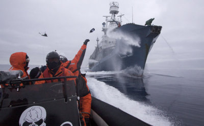 Sea-Shepherd crewmember.jpg