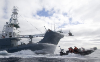 Sea-Shepherd crew.jpg
