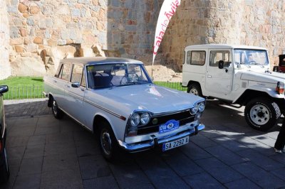 DSC_0375 (Medium).JPG