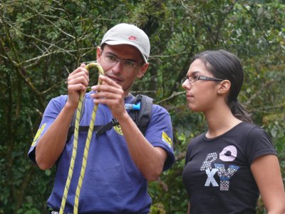 Revisando Cuidadosamente las Cuerdas