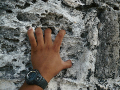 Rock Climbing Tikal
