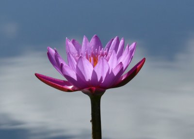 g1/74/303674/3/93878825.IQJ4Cxfc.jpg
