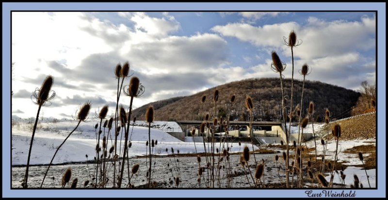 Lyman Run below the lake with Teasel foreground.