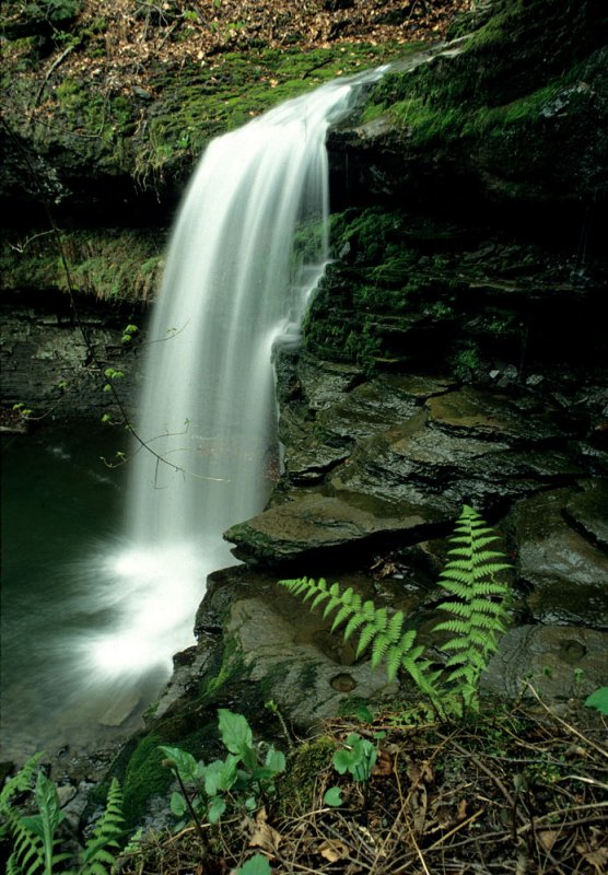 Campbell Falls 1