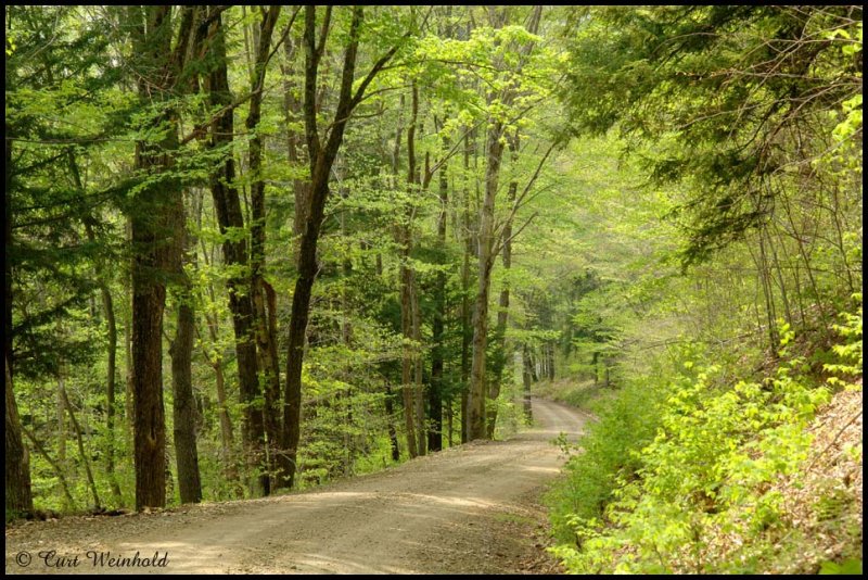 Rock Run Road