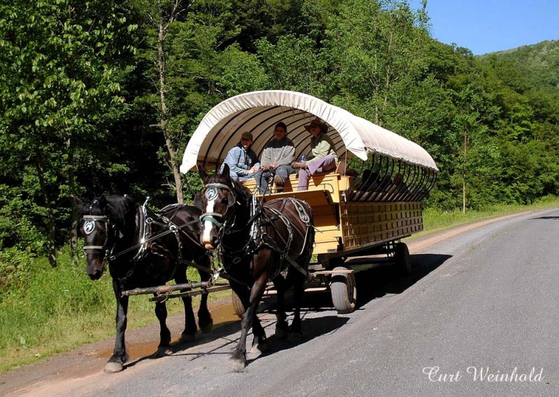 Wagon Rides