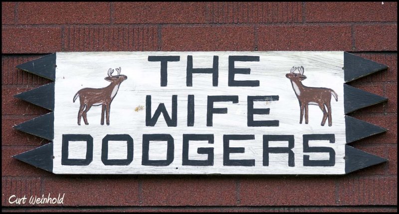 Wife Dodgers