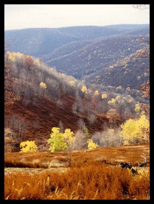 Hammersley Wild Area from Twin Sisters Trail