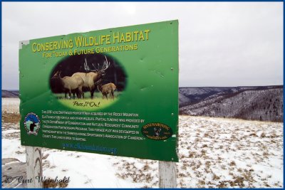 Elk habitat