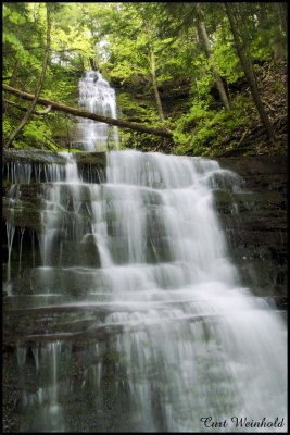 Chimney Hollow Falls