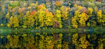 Brush Strokes,  Lyman Lake