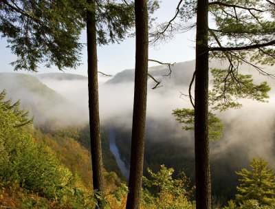 A view from Colton Point State Park