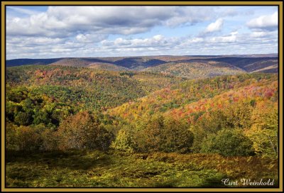 Losey Vista from Rock Run Road