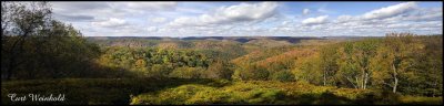 Losey Vista panorama