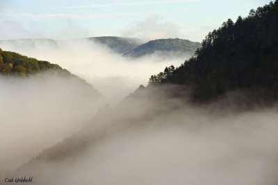 Canyon fog