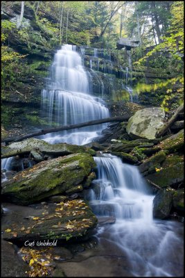 Lower Falls 4 -Mile Run