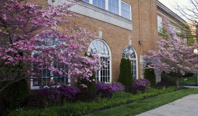 Springtime in Coudersport