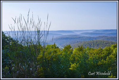 Cherry Springs Vista.