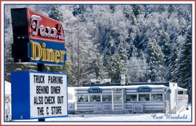 Fezz's-1950's Silk City Diner, after ice storm