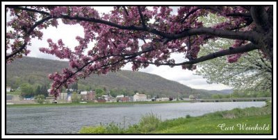 Berger Lake; Galeton, Pa.