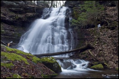 Bowen Falls