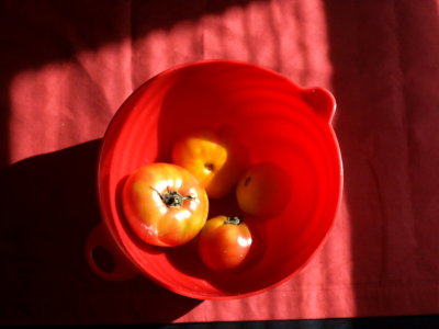 Some tomatoes