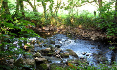 Stream near Yeats Tower