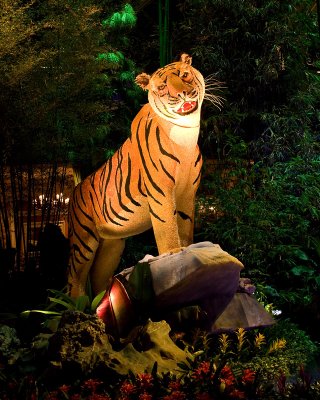 Bellagio Conservatory Tiger 1