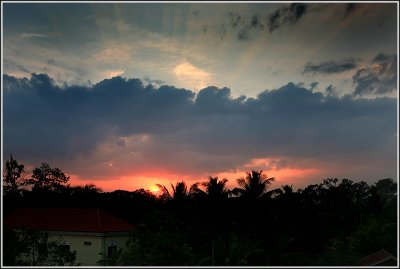 IMG_5023_1.JPG