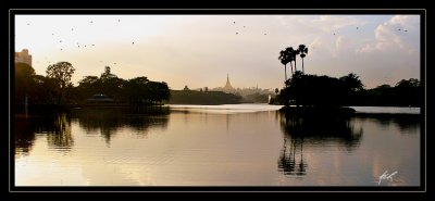 IMG_5073_1.jpg