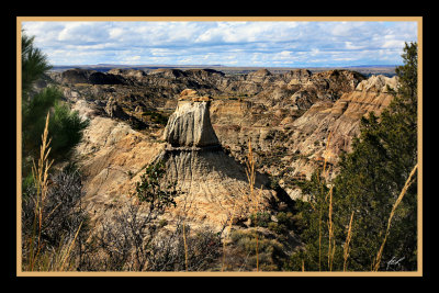 montana_2010