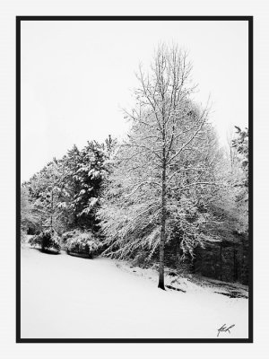 carolinas10