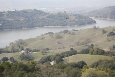 IMG_2655_6.JPG