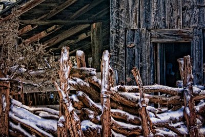_MG_4119-Edit.jpg