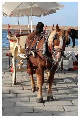 Chania