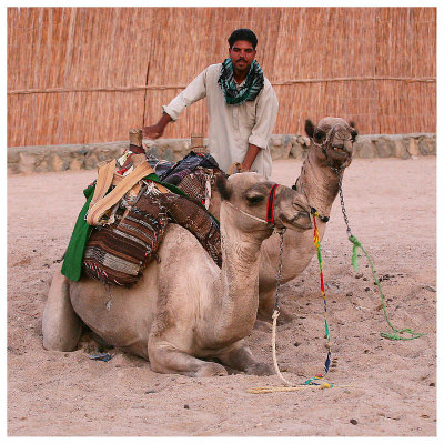 Le desert et les Bdouins d'Hurghada